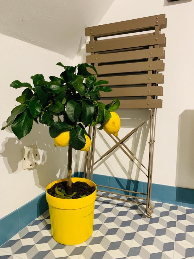 La Maison De Nina Санс Екстер'єр фото
